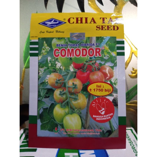 benih tomat hibrida F1 COMODOR isi 1750biji