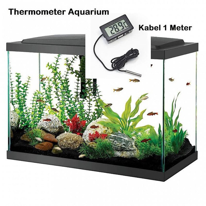 termometer aquarium, termometer aquascape, termometer digital aquascape, termometer digital aquarium