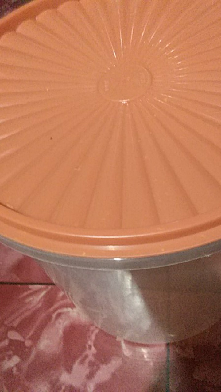 Toples Plastik 10 Liter