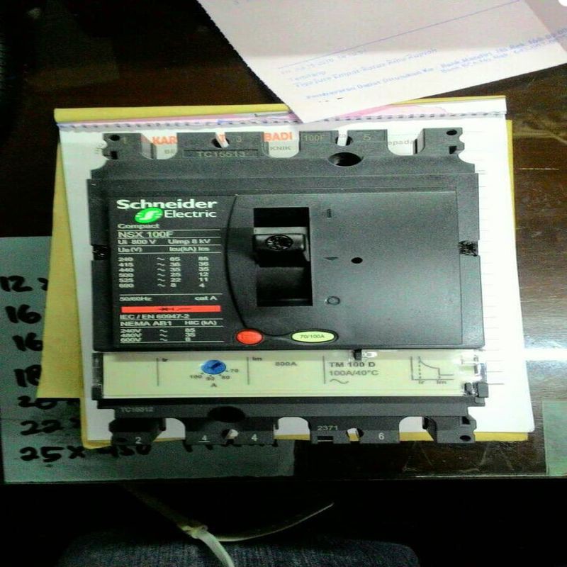 Breaker MCCB Schneider NSX100F 100 Amper