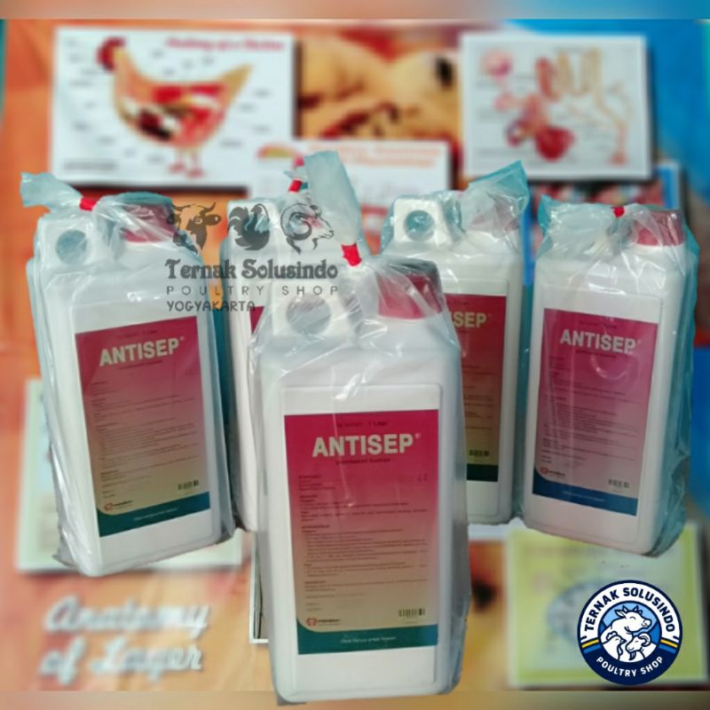 Antisep Medion 1 Liter