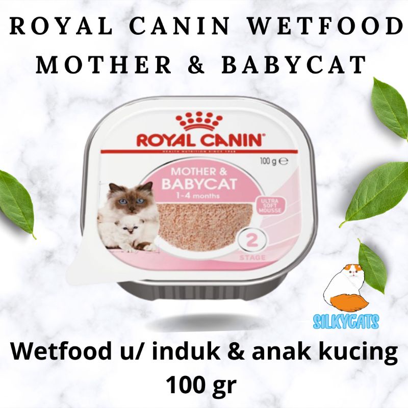 Royal canin wetfood mother &amp; babycat 100gr. makanan basah induk &amp; anak kucing