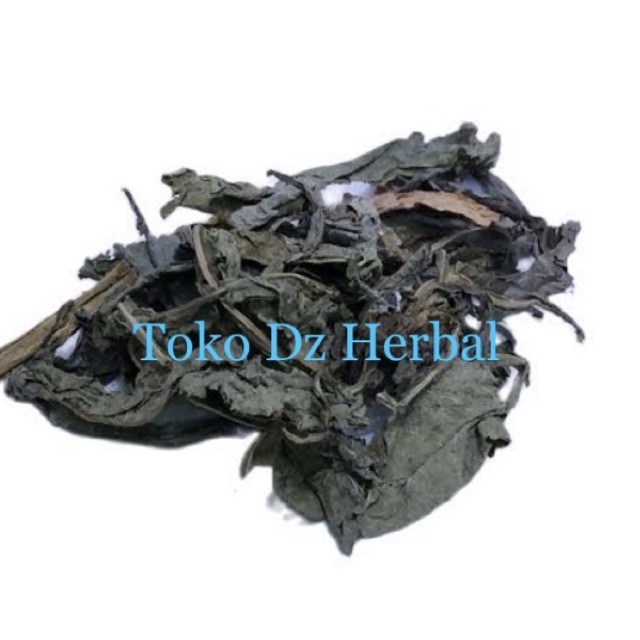 

Jual daun sembung kering asli 100 gram