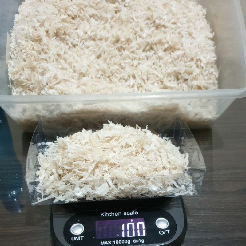 

SARANG BURUNG WALET TERIAN (RONTOKAN KASAR)