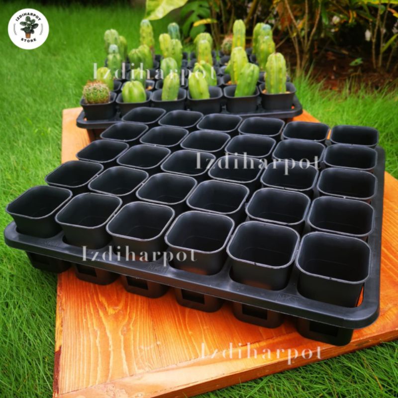 1 SET TRAY LUBANG 30 + POT NKT KOTAK 5CM HITAM 30 PCS | TRAY SEMAI BIBIT