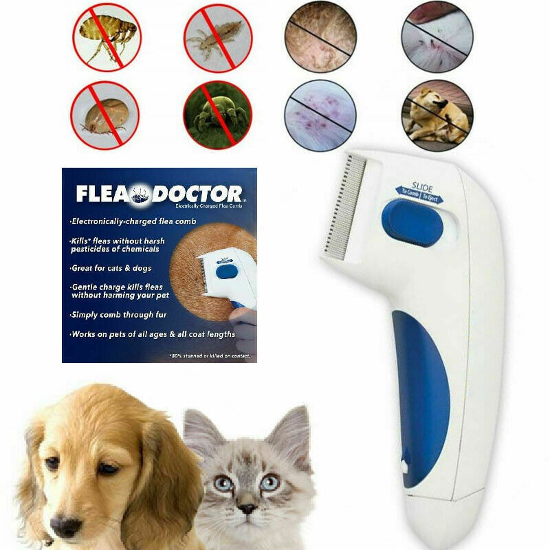 electric flea brush