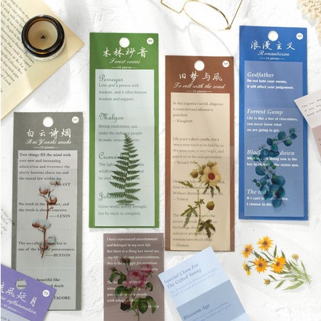 HI271 Stiker Kertas Quotes Kalimat Gambar Tanaman Aesthetic Untuk Buku Puisi Diary