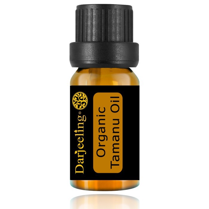

Produk Eksklusif 10ml Organic Tamanu Oil 100% Murni |Minyak Tamanu Organik Carrier Oil Murah