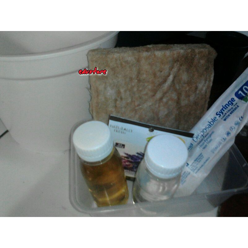 

Paket Hidroponik Bunga Lavender Pot 20 Cm