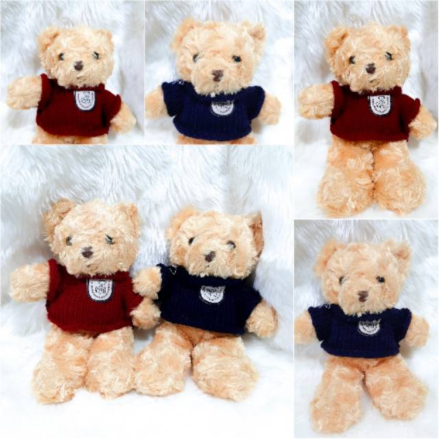teddy bear set