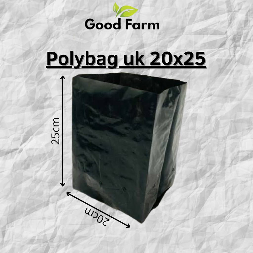 POLYBAG 20X25 POLYBAG ISI 10PCS MURAH / POLYBAG GROSIR / POLYBAG SAYURAN