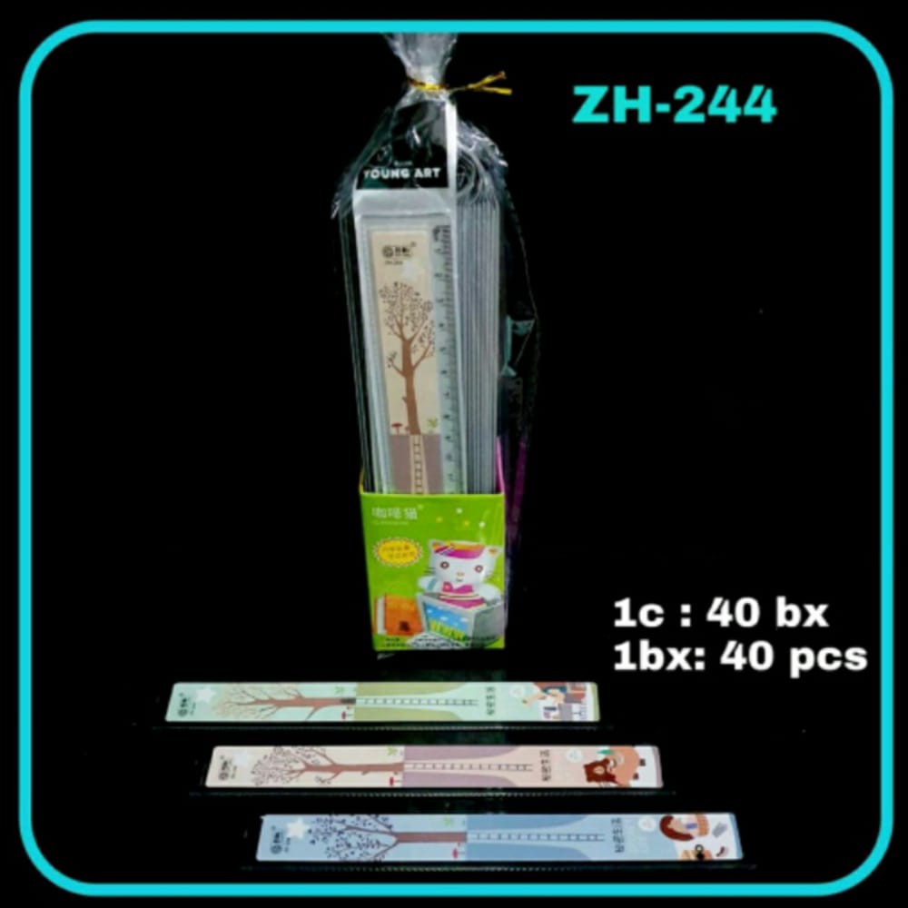 

AS888 - PENGGARIS MIKA 20CM ZH-244
