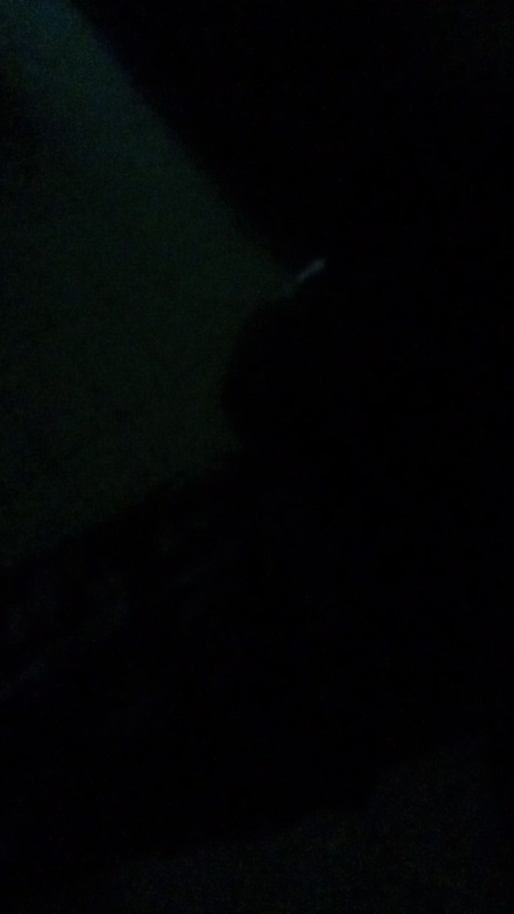 Spatula Pizza/sendok Pizza