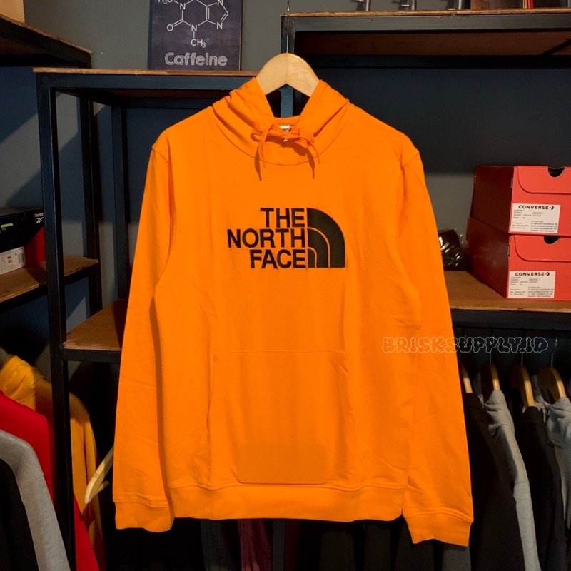 HOODIE TNF BASIC LOGO ORIGINAL BNWT