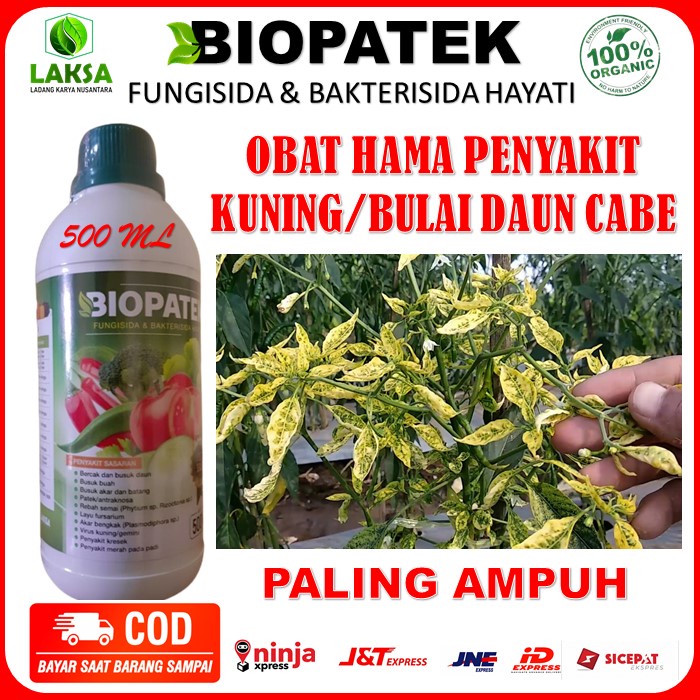 Bakterisida Biopatek Obat Kuning/Bulai Daun Cabe - Biopatek Obat Kuning Daun Cabe Paling Ampuh - Bio