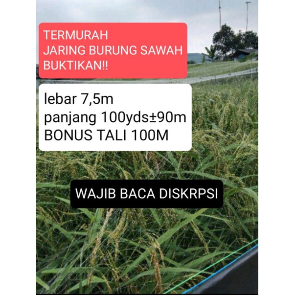 Jaring Burung Kecil Jaring Burung sawah 2 inchi 100mds/100yds Lubang 2 Jari