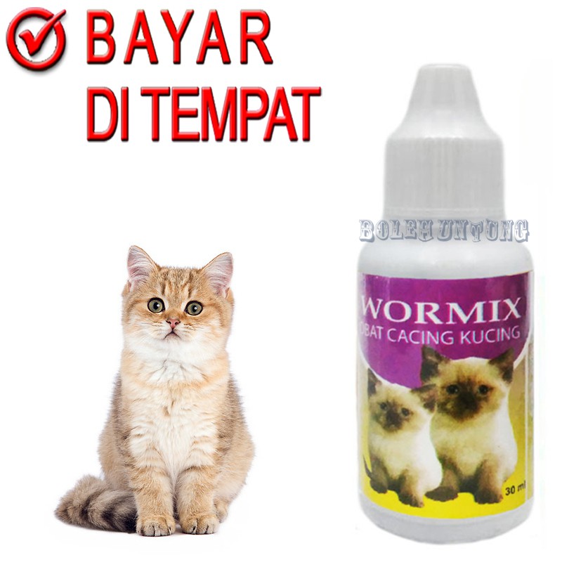 WORMIX OBAT CACING KUCING SAKIT CACINGAN ANAK KUCING KECIL
