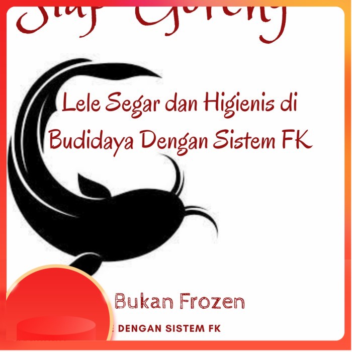 

(ST) IKAN LELE SEGAR - 500 gram
