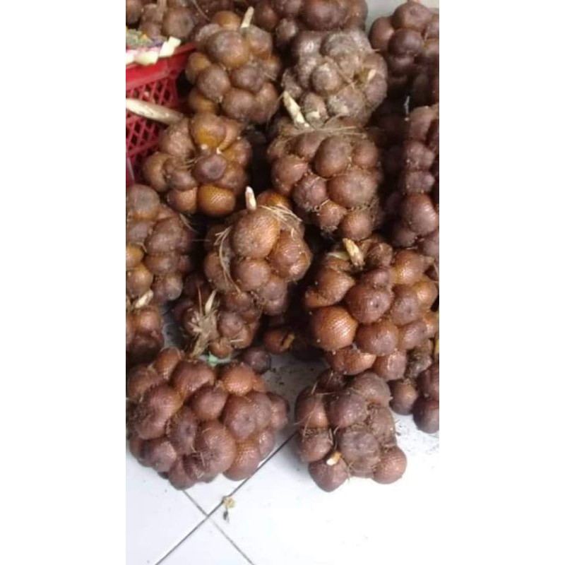 

Salak Gula Pasir Oleh Oleh Khas Bali 1kg