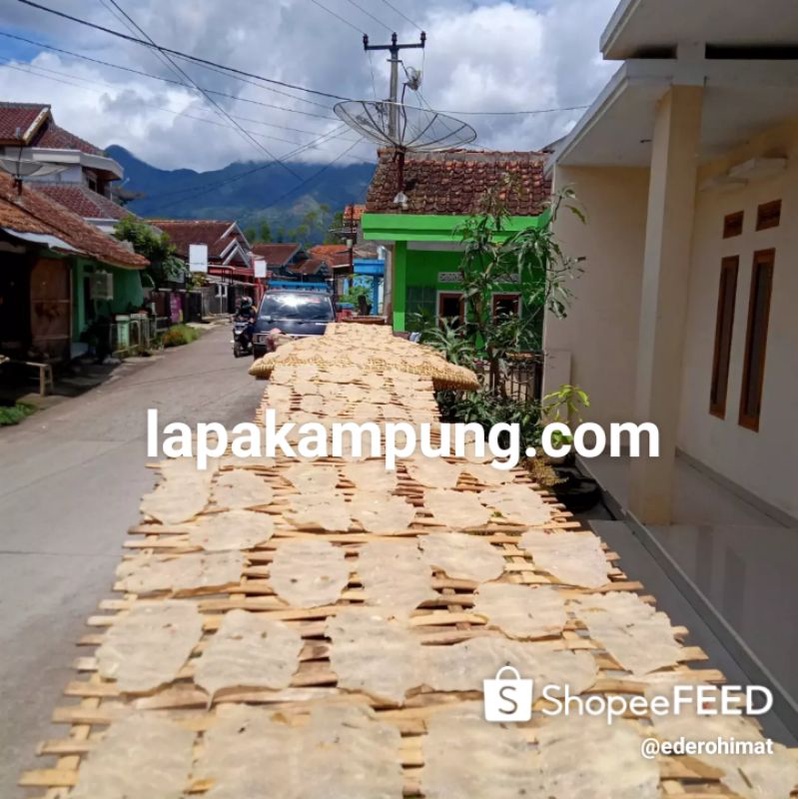 

Kecimpring Mentah satuan