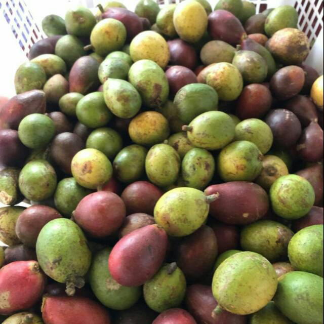 Matoa buah (1kg)