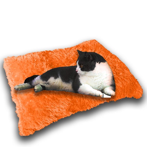 Bantal kucing Murah Lembut/Kasur Kucing/Alas Tidur Kucing Premium/Tempat Kucing Dan Anjing/Ranjang Kucing Dan Anjing/Cat bed/Kasur Kucing Murah/Tempat Tidur Kucing 1 Set/Rumah Kucing/Kandang Kucing/Perlengkapan Kucing Dan hewan-6