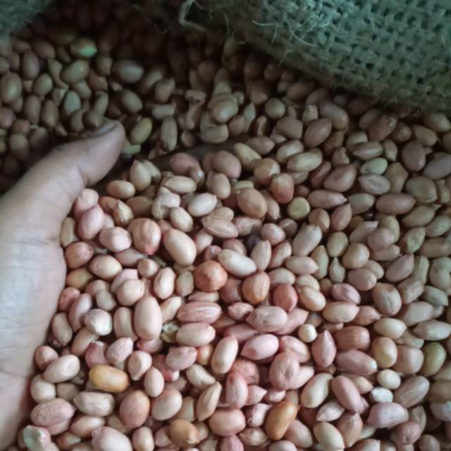 

Kacang tanah kampung dan kacang tanpa kulit 250gr