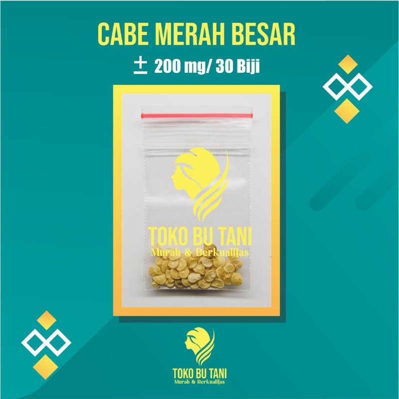 Benih Cabe Merah Besar Sayuran Tahan Virus Unggul Benih Bibit Sayuran Berkualitas