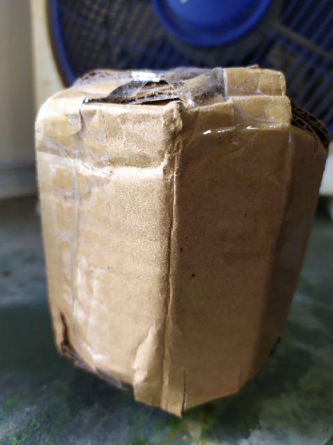 Marimo Moss Ball In Jar Tinggi 240 Ml 1< Alga Jepang