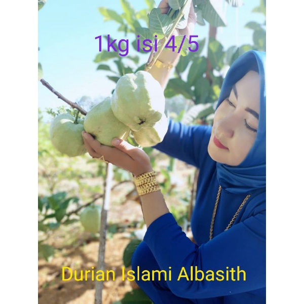 

Jambu kristal ISLAMI kelas menengah (ORGANIK). 1Kg(COD)