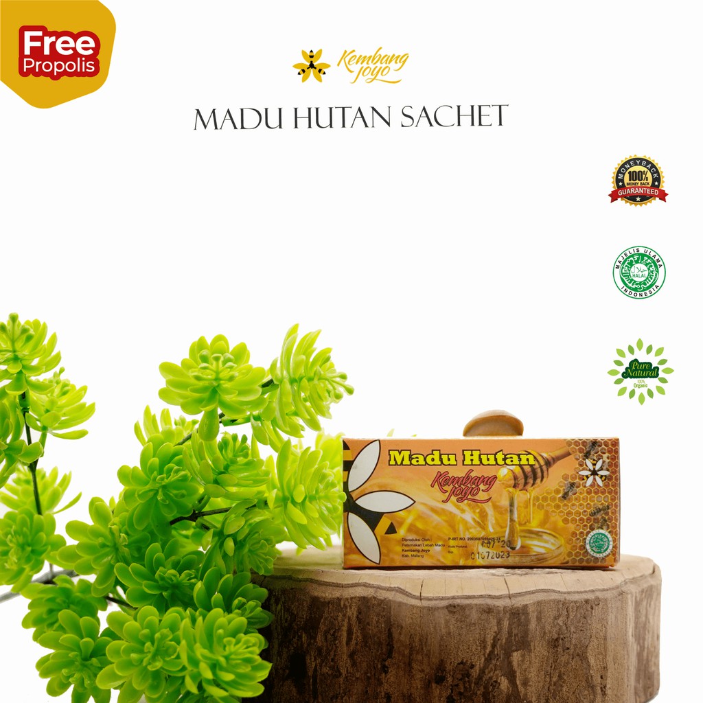 

Box Madu Kembang Joyo Sachet Madu Hutan 15gram x 5pcs - Free Ongkir