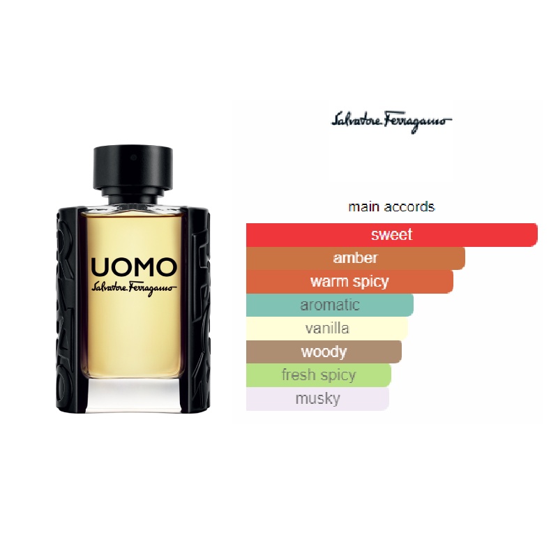 Salvatore Ferragamo Uomo Man - 100 ML