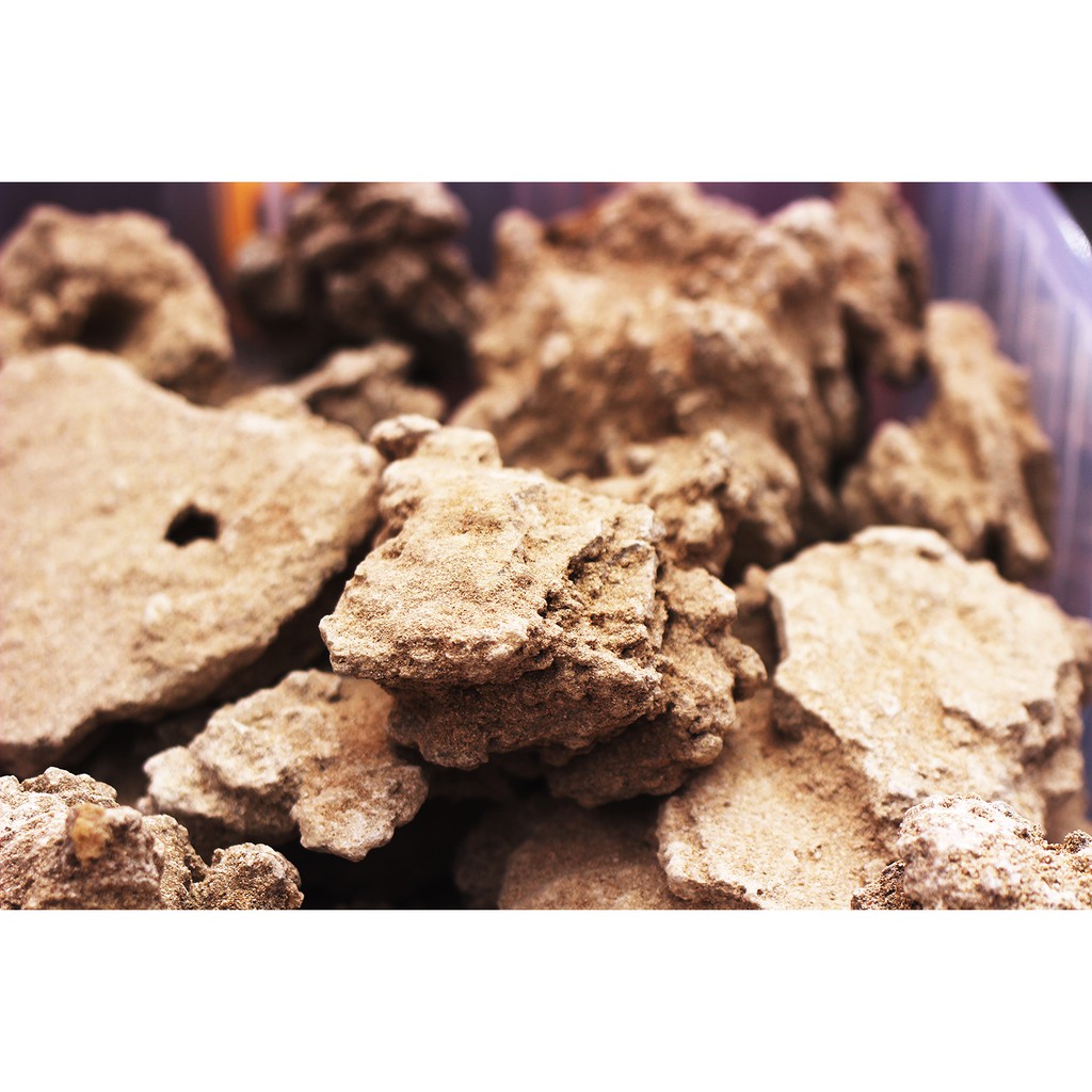BATU PASIR / SAND STONE 1 KG / HARDSCAPE AQUASCAPE