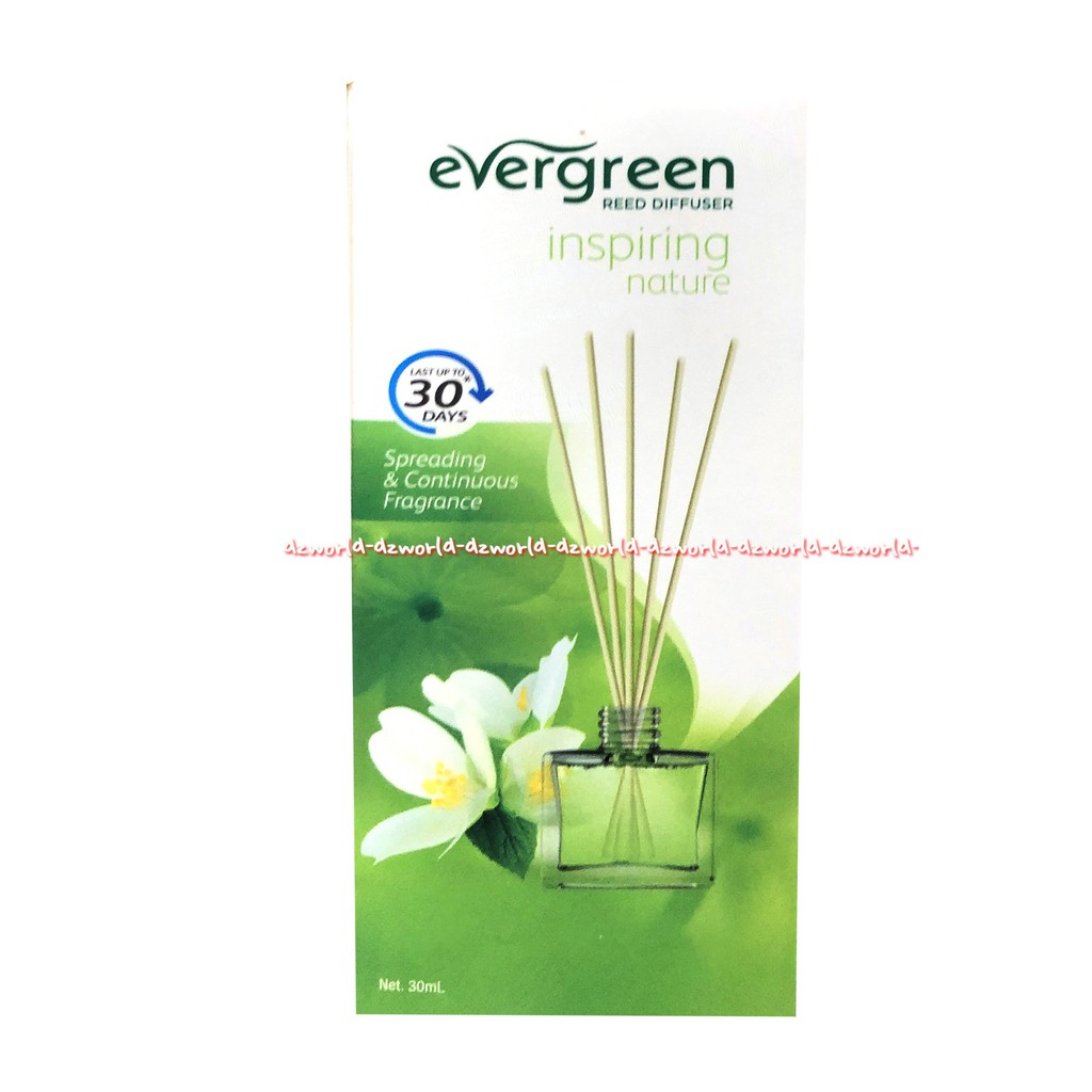 Evergreen Inspiring Nature Spreading Reed Disfuser Pewangi Stik