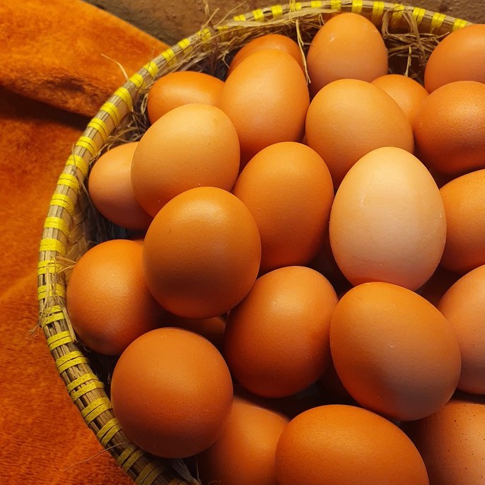 TELUR AYAM NEGERI 1 KG FRESH BANDUNG CIMAHI