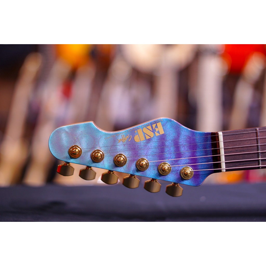 ESP Snapper hiend spec  E4370182