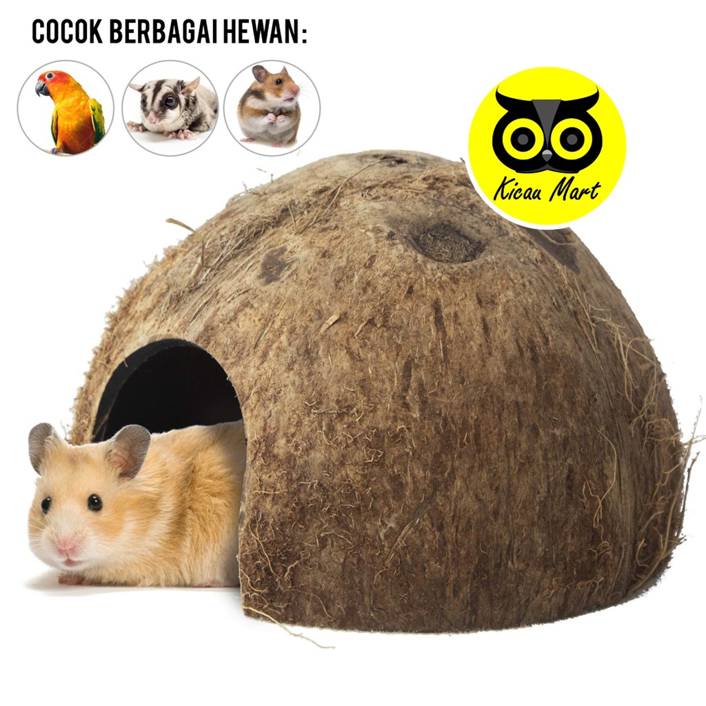 SARANG RUMAH MAINAN HAMSTER BATOK KELAPA COCONUT NATURAL HIDING CAVE SARANG RUMAH MAINAN HAMSTER SUGAR GLIDER GECKO SARANG BURUNG LOVEBIRD PARKIT GLHMS