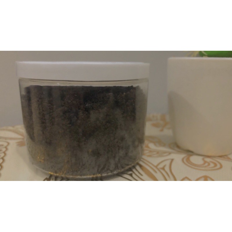

Terasi Udang Rebon Siap Pakai 250gr