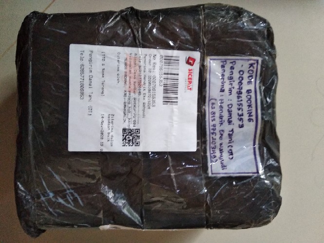 Benih Gambas, Benih Oyong Hibrida Ladies 10 Gram