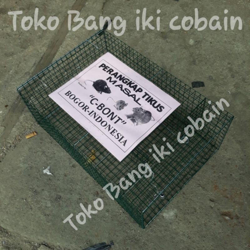 Perangkap Tikus Jebakan Tikus Jumbo