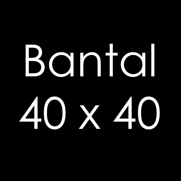 Sofa-Bantal- Bantal 40X40 -Bantal-Sofa.