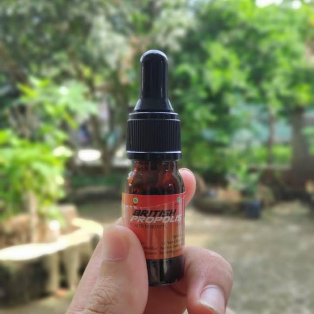 

British propolis