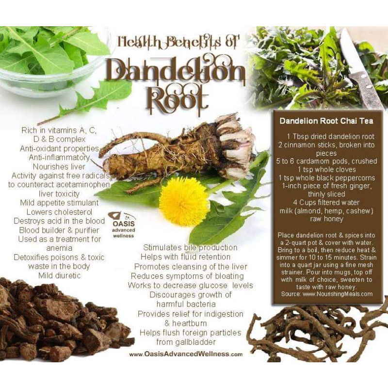 Roasted Dandelion Root Tea : Super Detox Dandelion Root Tea Isi 30 Tea Bag