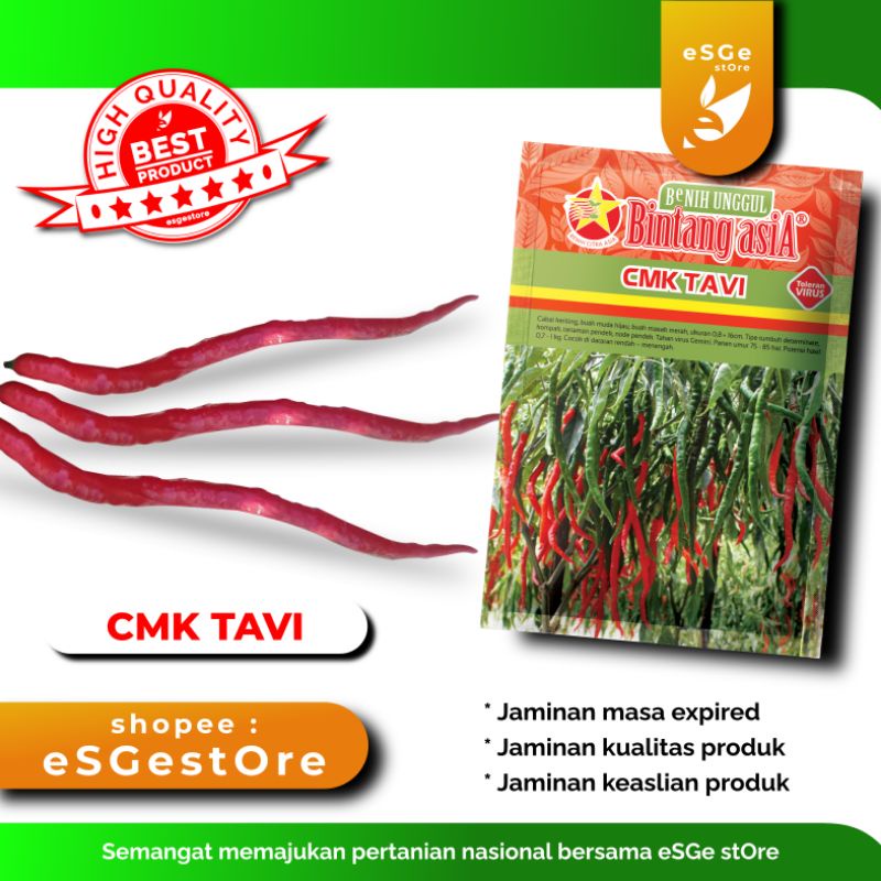 Benih bibit cabe merah keriting tahan virus CMK Tavi (Lombok Keriting Tahan Virus)