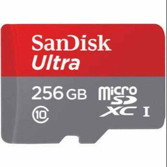 MEMORY CARD SANDISK 256GB