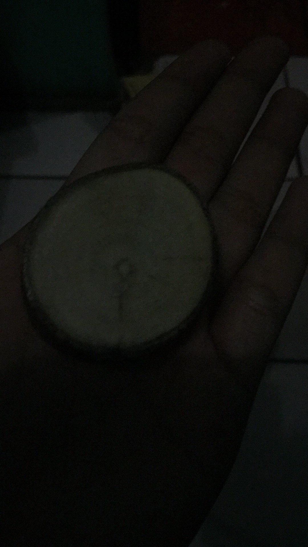 Slice Wood Potongan Kayu Untuk Dekorasi Wood Log