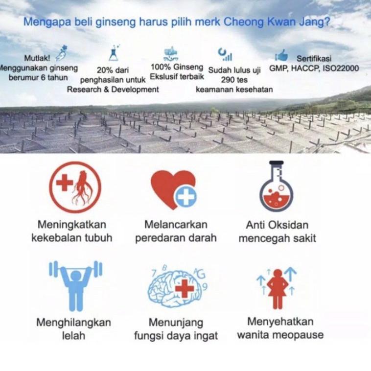 

[KODE DJ] [1 Pcs]Cheong Kwan Jang Korean Red Gingseng "Everytime Balance