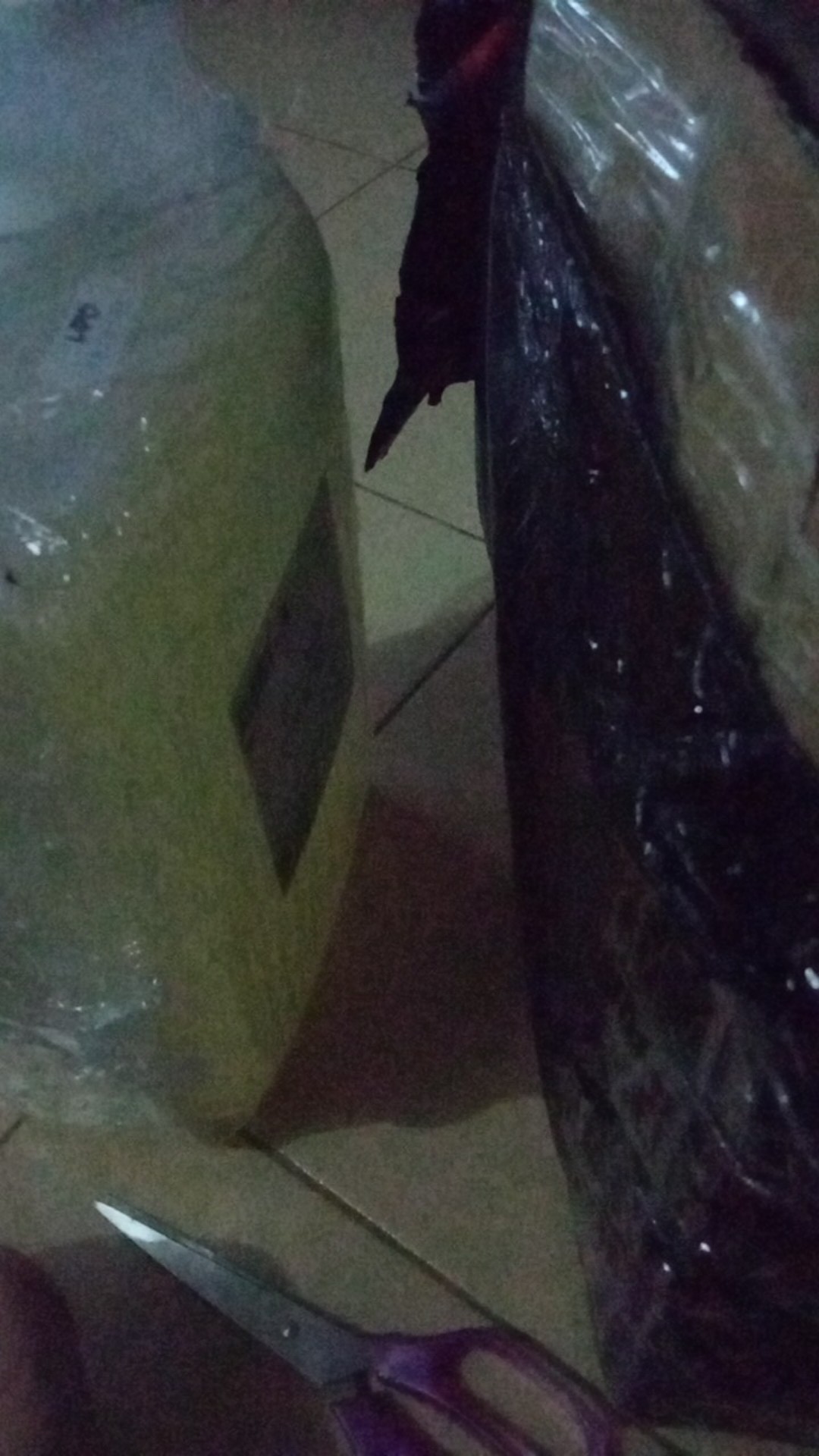 Desinfektan Laundry @ 5 L Pembasmi Kuman Bakteri Jamur Bau, Kleen-r Harume