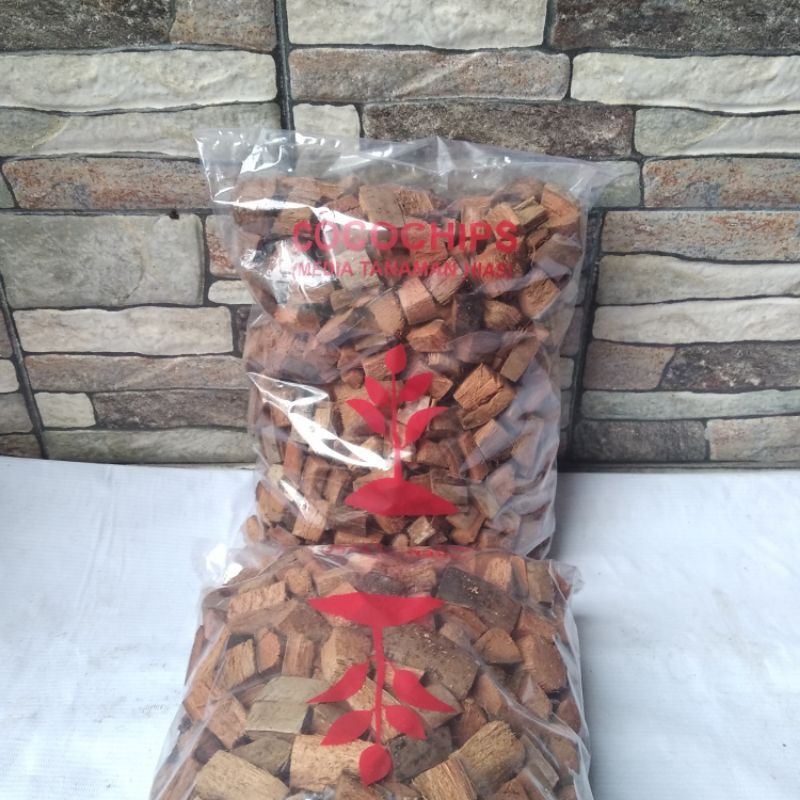 cocochip media tanam tanaman hias