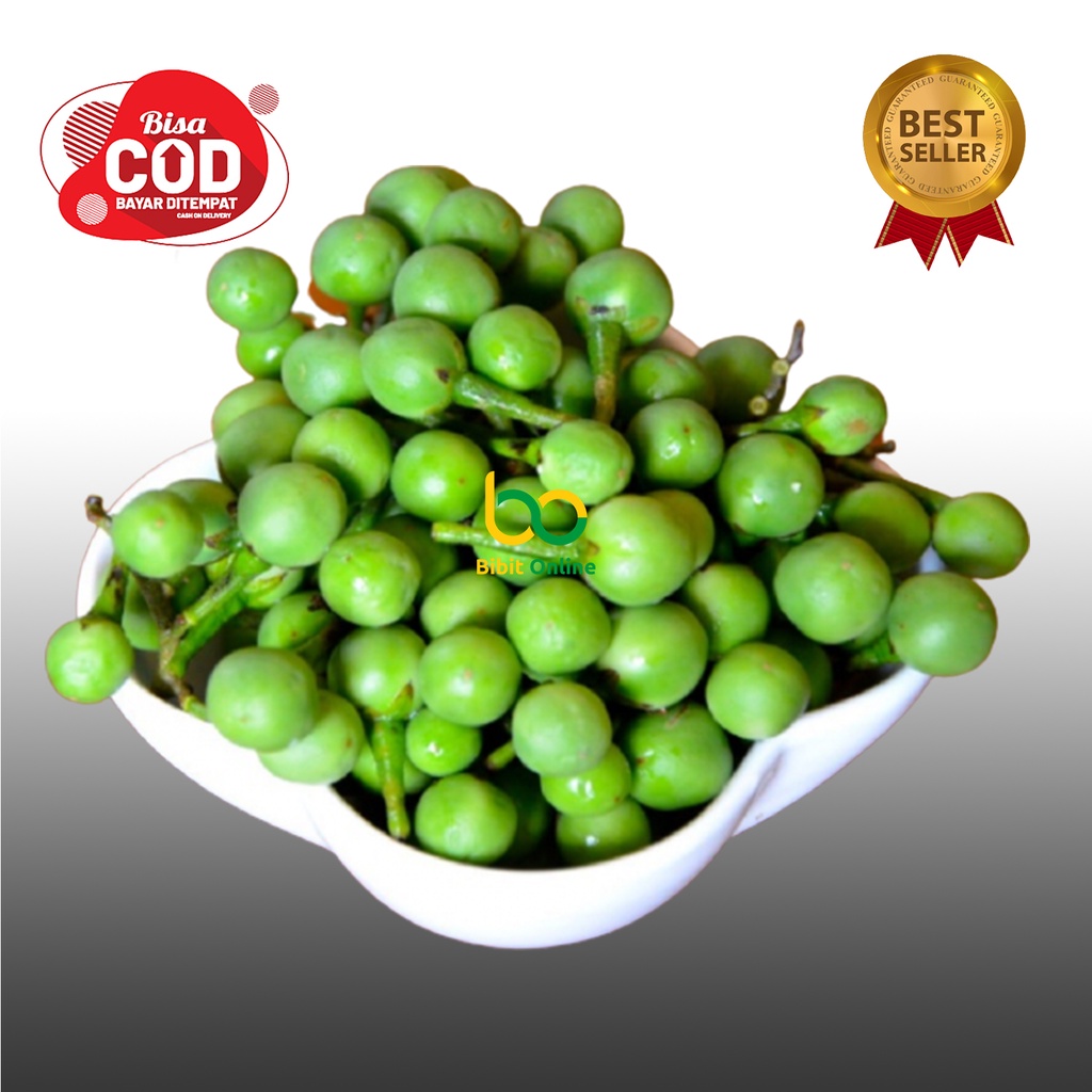 

TAKOKAK sayur kemasan 100 gram bibit online